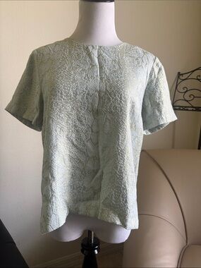 The Limited Light Sage Textured Short Sleeve Top